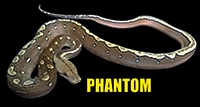 Picture for category Phantom